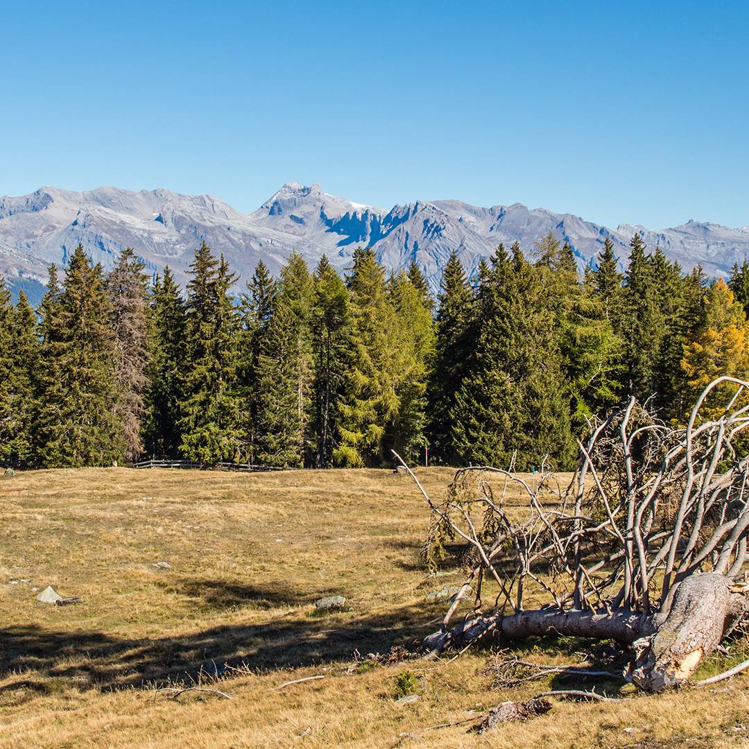 Es wird Herbst