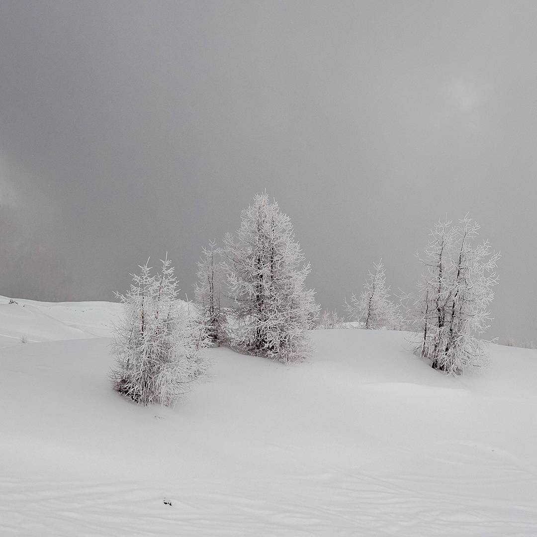 Der Winter hat die Landschaft fest im Griff.